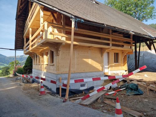 Erneuerungsbau 3